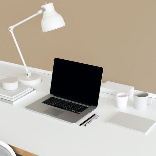 A team working on laptops
